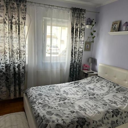 Cosy Apartment-Private Parking 萨格勒布 外观 照片