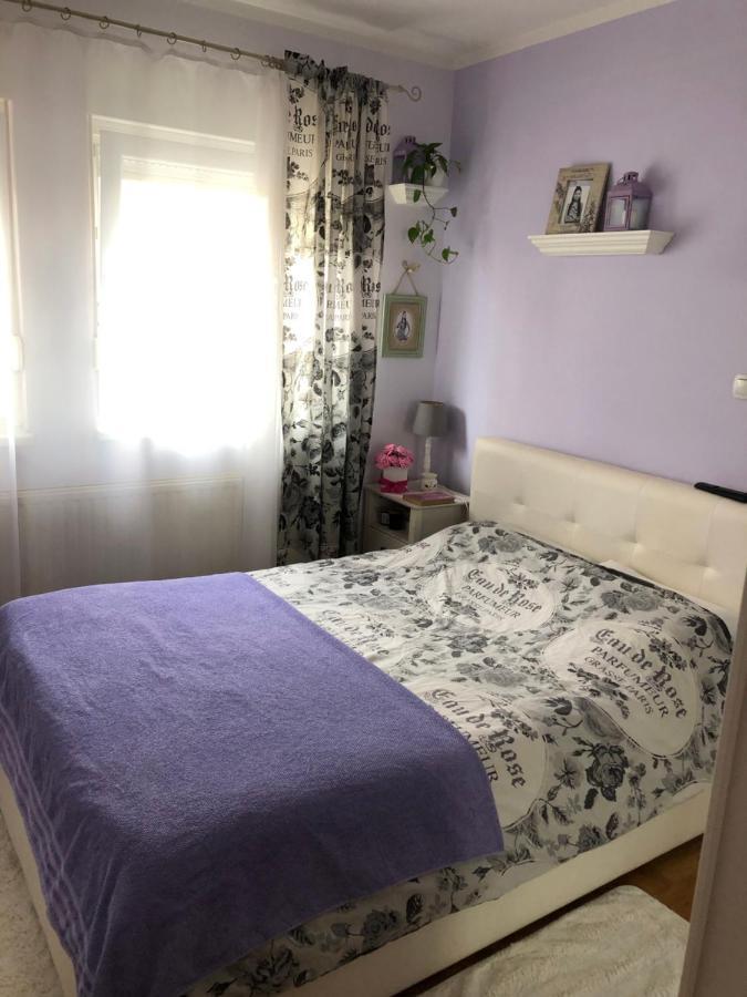 Cosy Apartment-Private Parking 萨格勒布 外观 照片