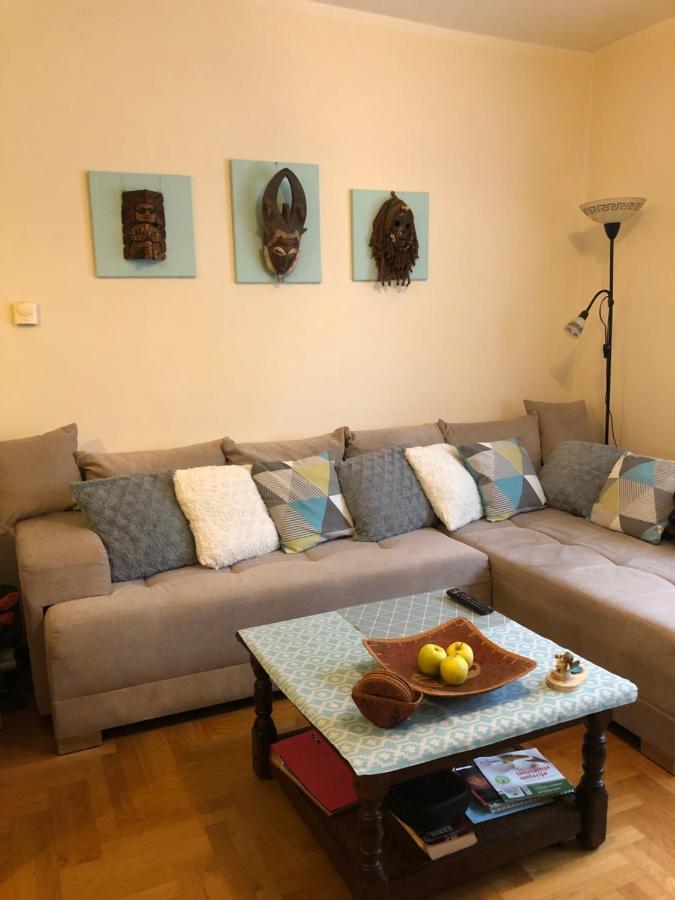 Cosy Apartment-Private Parking 萨格勒布 外观 照片