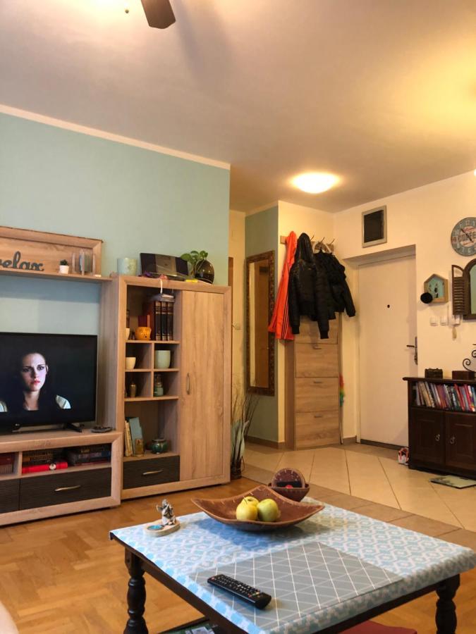 Cosy Apartment-Private Parking 萨格勒布 外观 照片