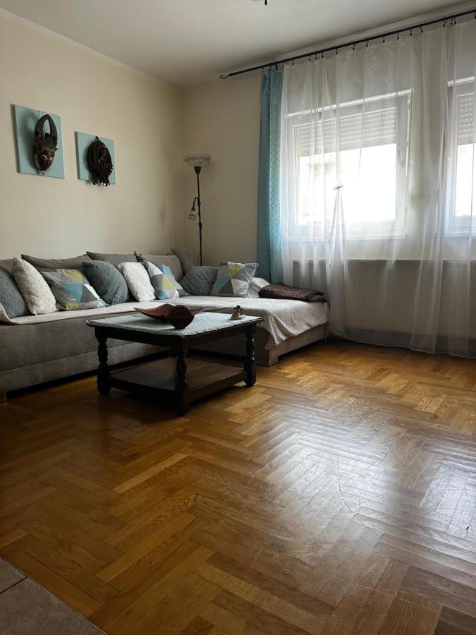 Cosy Apartment-Private Parking 萨格勒布 外观 照片